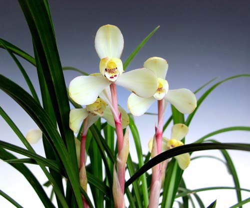 �ʐ^�摜�P�O