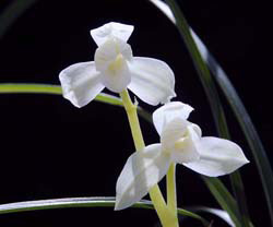 �������R